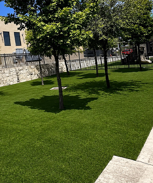 Artificial grass installed in a commercial outdoor area with trees and stone wall landscaping