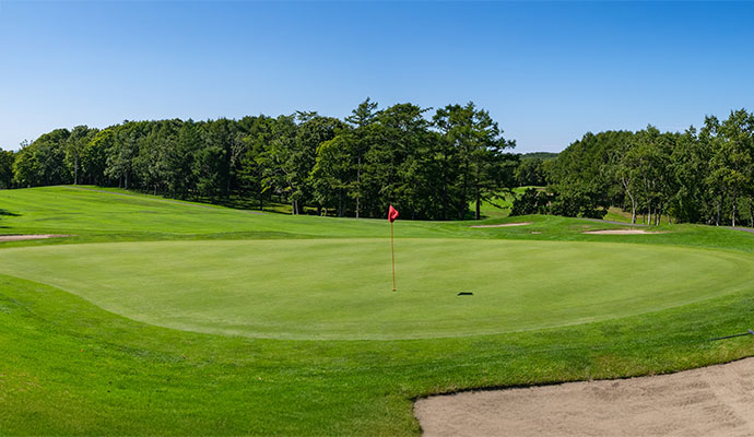 Artificial Turf for Putting Greens in Dallas-Fort Worth
