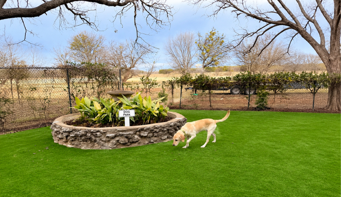 Pet turf