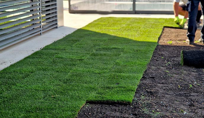 Professional backyard turf installation service