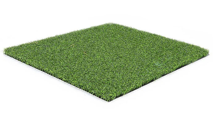Square piece of par golf turf