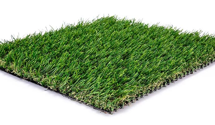 Square piece of regal 60 turf