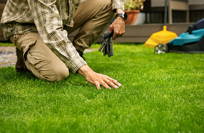Person kneeling on a green lawn inspecting grass quality